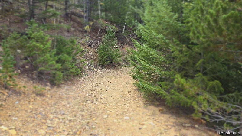 Olympic And Hecla Mines, Dumont, CO 80436