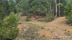 Olympic And Hecla Mines, Dumont, CO 80436