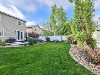 632 Denali Ct, Windsor, CO 80550