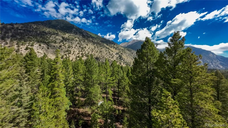 22297 County Road 292d, Nathrop, CO 81236