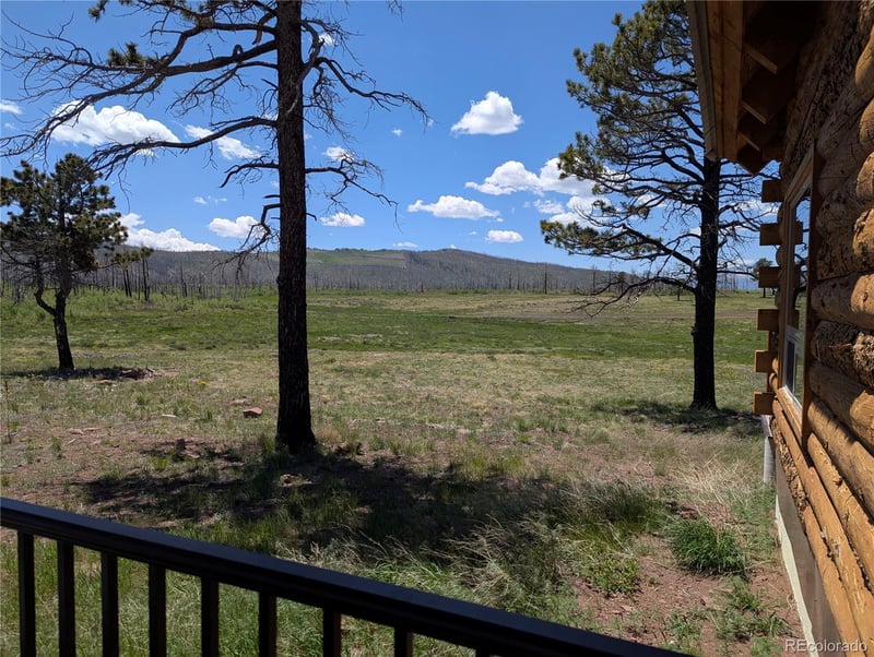 1456 Von Heyl Ln, Fort Garland, CO 81133