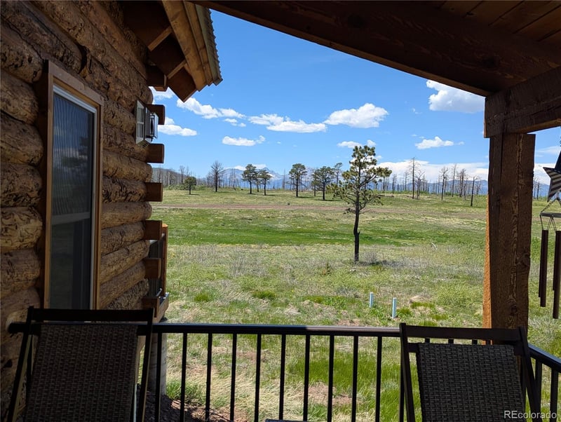 1456 Von Heyl Ln, Fort Garland, CO 81133