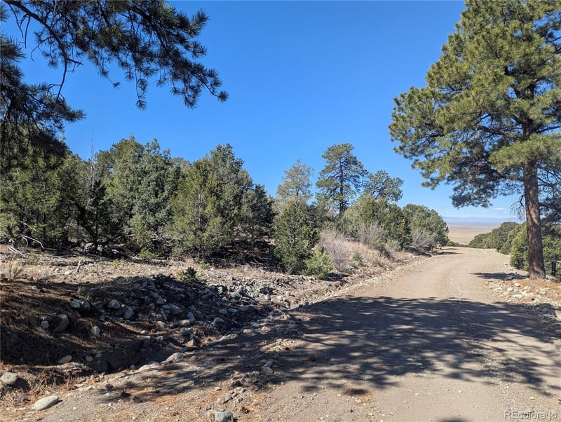 200 Mill Run Rd, Mosca, CO 81146