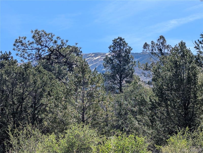200 Mill Run Rd, Mosca, CO 81146
