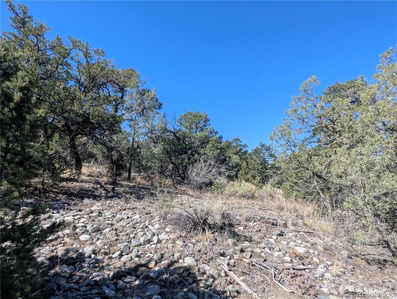 200 Mill Run Rd, Mosca, CO 81146