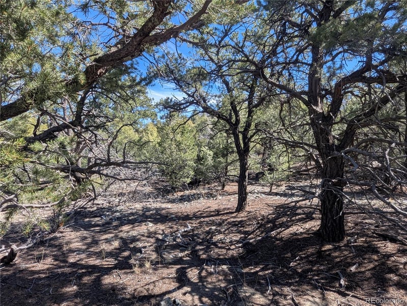 200 Mill Run Rd, Mosca, CO 81146