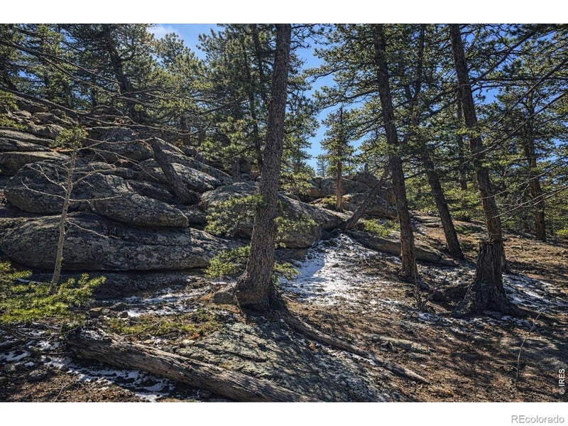 Sinisippi Rd, Red Feather Lakes, CO 80545