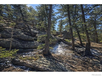 Sinisippi Rd, Red Feather Lakes, CO 80545