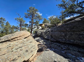 Sinisippi Rd, Red Feather Lakes, CO 80545
