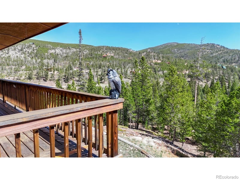 51 Tenino Ct, Red Feather Lakes, CO 80545