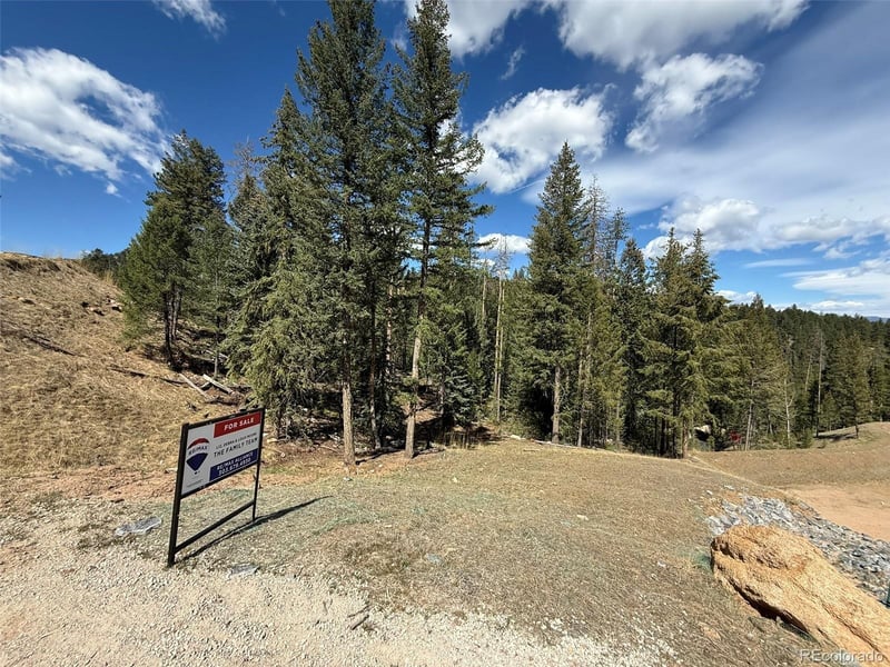 6845 Lynx Lair Rd, Evergreen, CO 80439