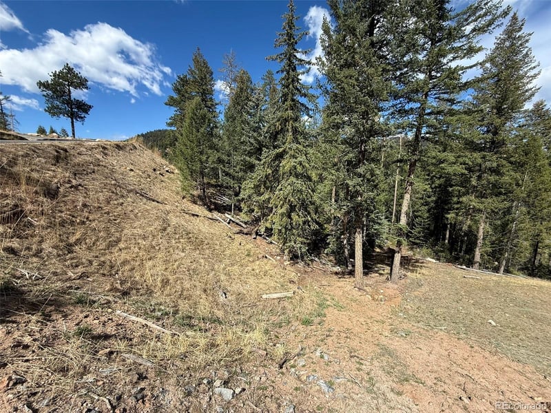 6845 Lynx Lair Rd, Evergreen, CO 80439