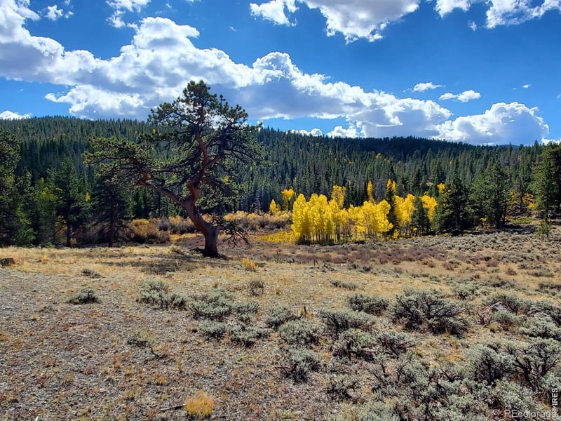 231 Modoc Ct, Red Feather Lakes, CO 80545