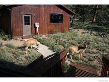 231 Modoc Ct, Red Feather Lakes, CO 80545