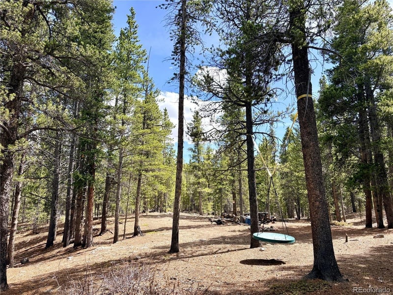 Georges Way, Alma, CO 80420