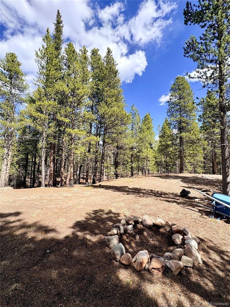 Georges Way, Alma, CO 80420