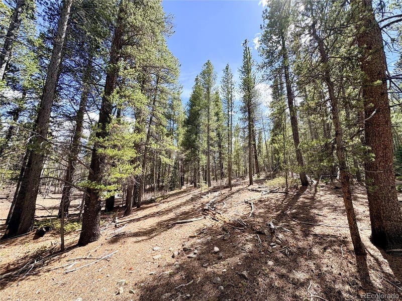 Georges Way, Alma, CO 80420