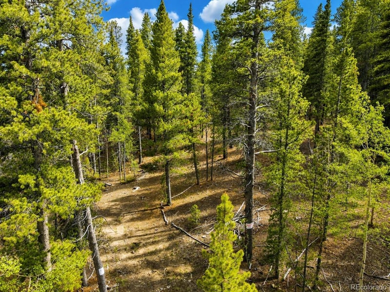 Georges Way, Alma, CO 80420