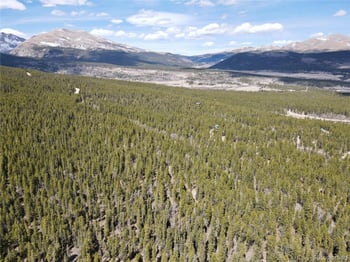 Georges Way, Alma, CO 80420