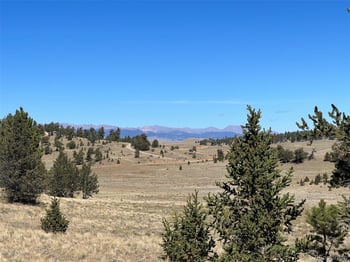 585 Vaquero Way, Como, CO 80432