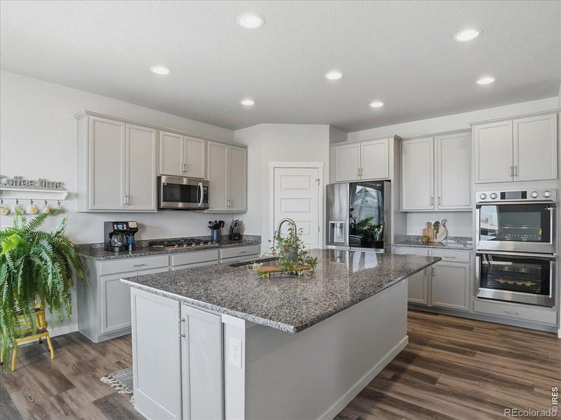 1229 Argali Dr, Severance, CO 80550