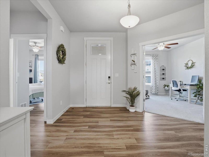 1229 Argali Dr, Severance, CO 80550