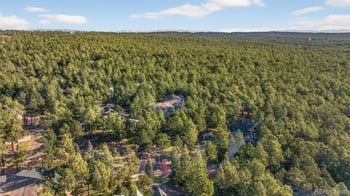 15765 Pineycove Ct, Colorado Springs, CO 80921