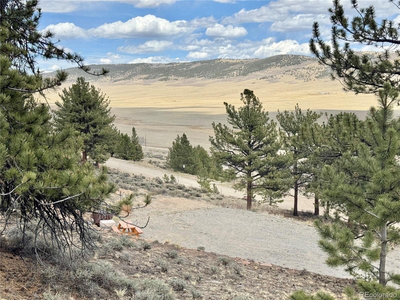 3129 Redhill Rd, Fairplay, CO 80440