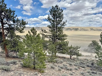 3129 Redhill Rd, Fairplay, CO 80440