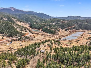 220 Rocky Mountain Vw, Divide, CO 80814