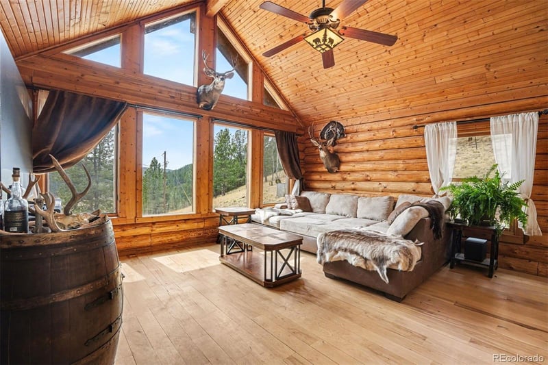 220 Rocky Mountain Vw, Divide, CO 80814