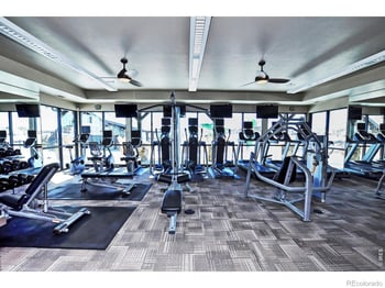 6772 Rainier Rd, Timnath, CO 80547