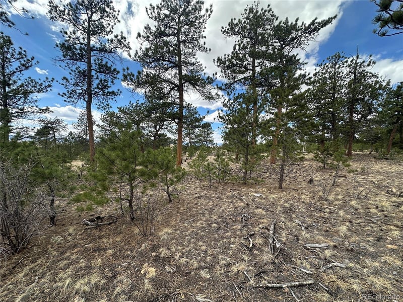 Chicha Rd, Hartsel, CO 80449