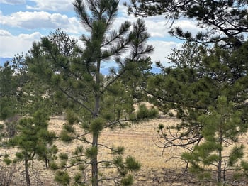 Chicha Rd, Hartsel, CO 80449