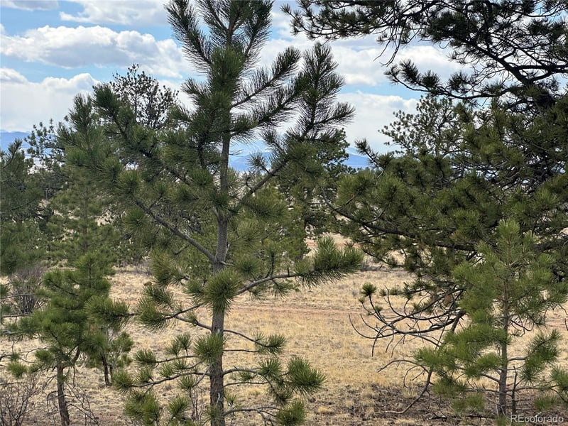 Chicha Rd, Hartsel, CO 80449