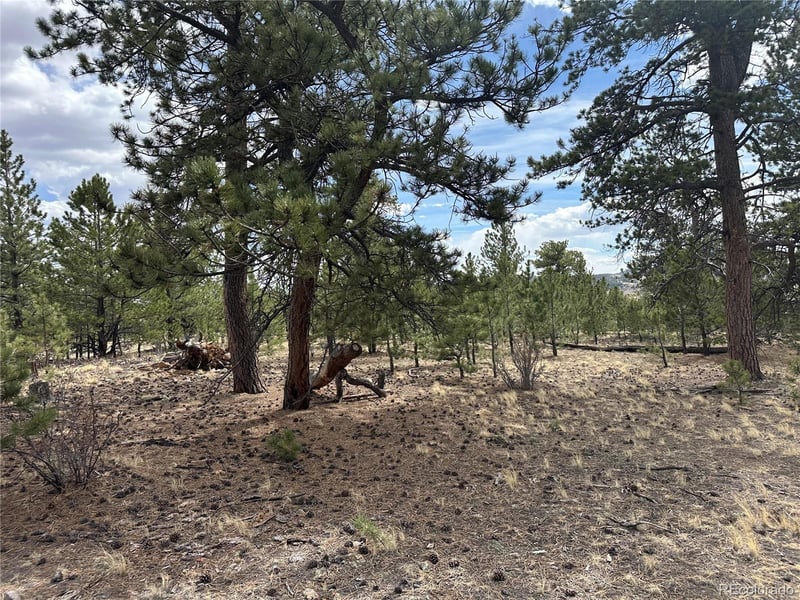 Chicha Rd, Hartsel, CO 80449