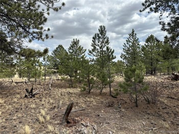 Chicha Rd, Hartsel, CO 80449