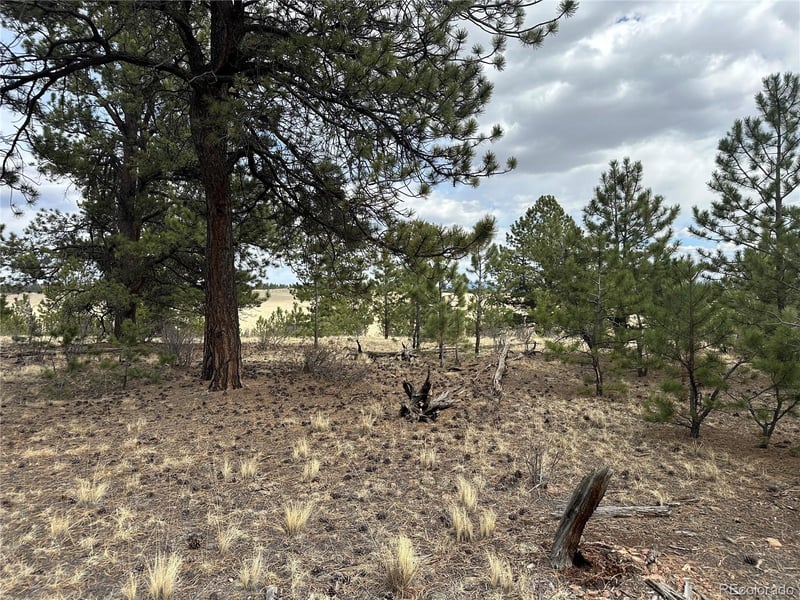 Chicha Rd, Hartsel, CO 80449