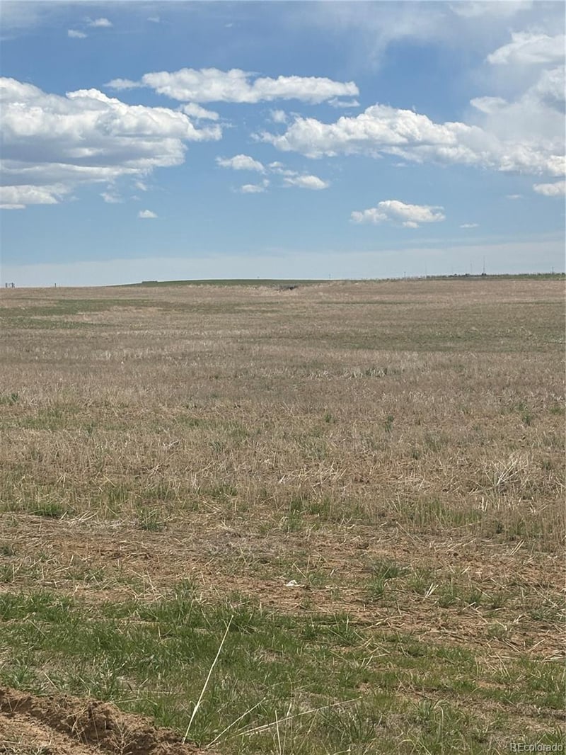 57075 Maplewood Pl, Strasburg, CO 80136