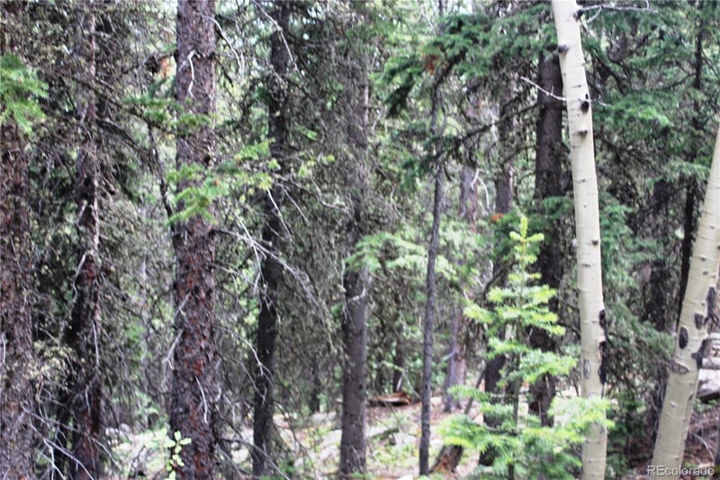00 Hidden Wilderness Rd, Idaho Springs, CO 80452