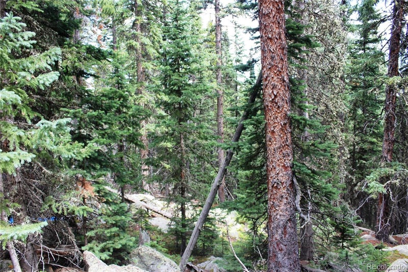 00 Hidden Wilderness Rd, Idaho Springs, CO 80452