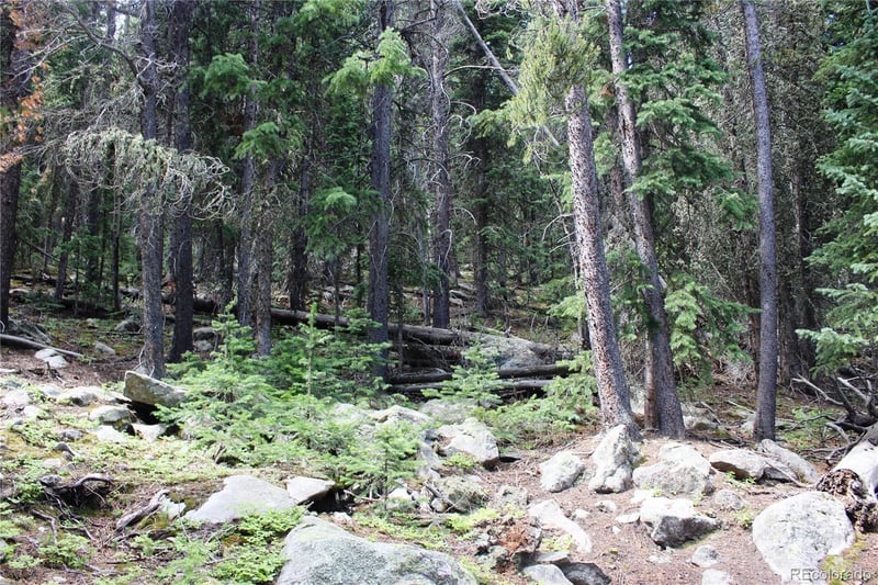 00 Hidden Wilderness Rd, Idaho Springs, CO 80452