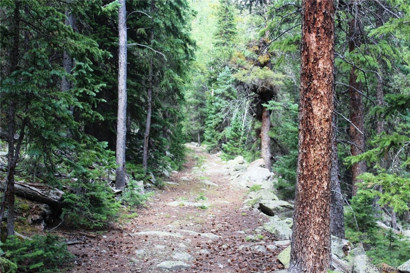 00 Hidden Wilderness Rd, Idaho Springs, CO 80452