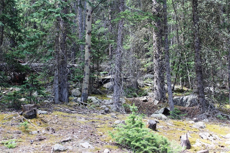 00 Hidden Wilderness Rd, Idaho Springs, CO 80452