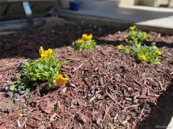 5621 Ireland St, Centennial, CO 80015