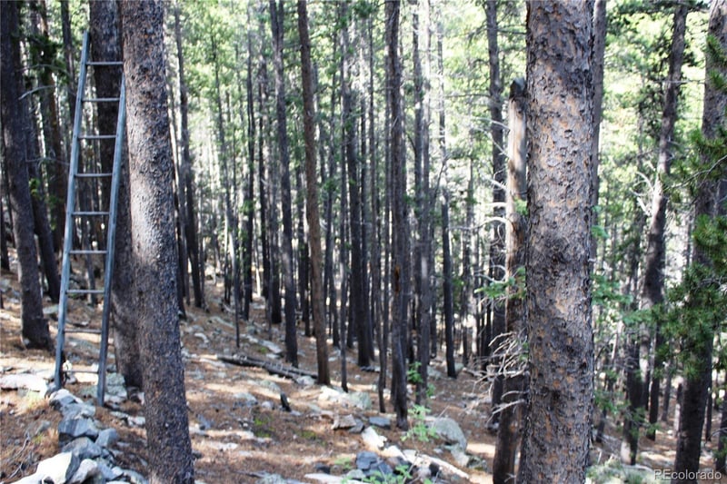 3504 Hidden Wilderness Rd, Evergreen, CO 80439