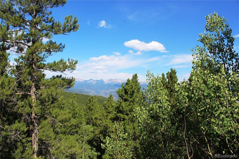 3504 Hidden Wilderness Rd, Idaho Springs, CO 80439