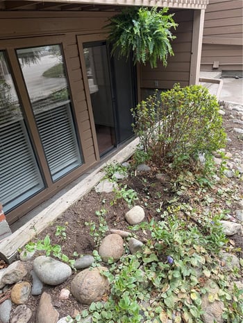 12364 Nevada Pl #101, Lakewood, CO 80228