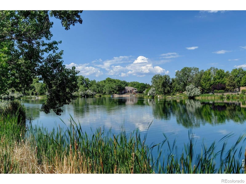 61 Blue Heron Dr, Thornton, CO 80241
