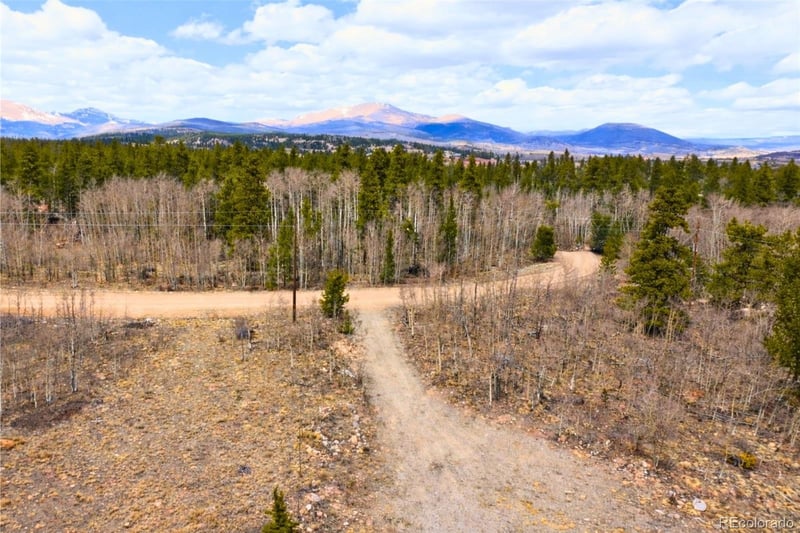 330 Green Bottle Cir, Fairplay, CO 80440